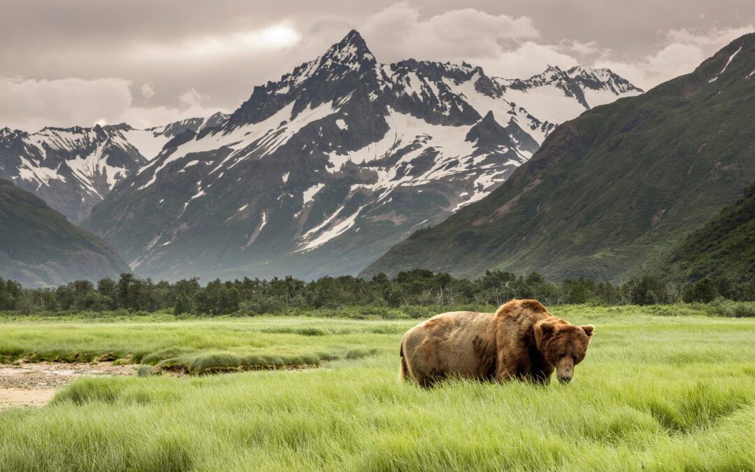 ALASKA