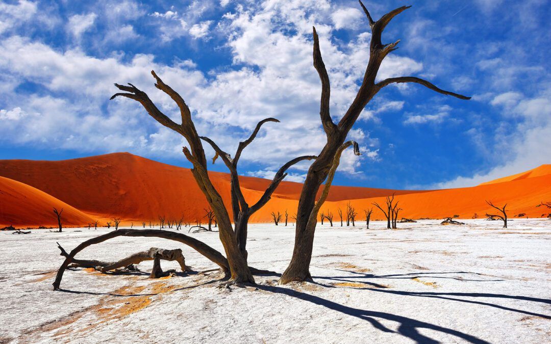 NAMIBIA